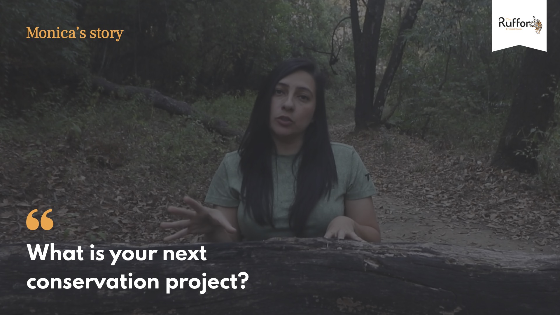 Monica question 8
